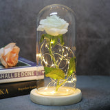 Rose Glass Cover Luminous Led Ornament - InformationEssentials