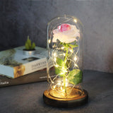 Rose Glass Cover Luminous Led Ornament - InformationEssentials