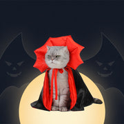 Halloween Pet Costume InformationEssentials