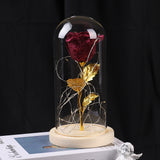 Valentines Day Gift  For Girlfriend Eternal Rose Flowers LED Light In Glass Cover Day Wedding Decoration Favors Mother Day Female Gift  Gift - InformationEssentials