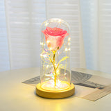 Valentines Day Gift  For Girlfriend Eternal Rose Flowers LED Light In Glass Cover Day Wedding Decoration Favors Mother Day Female Gift  Gift - InformationEssentials